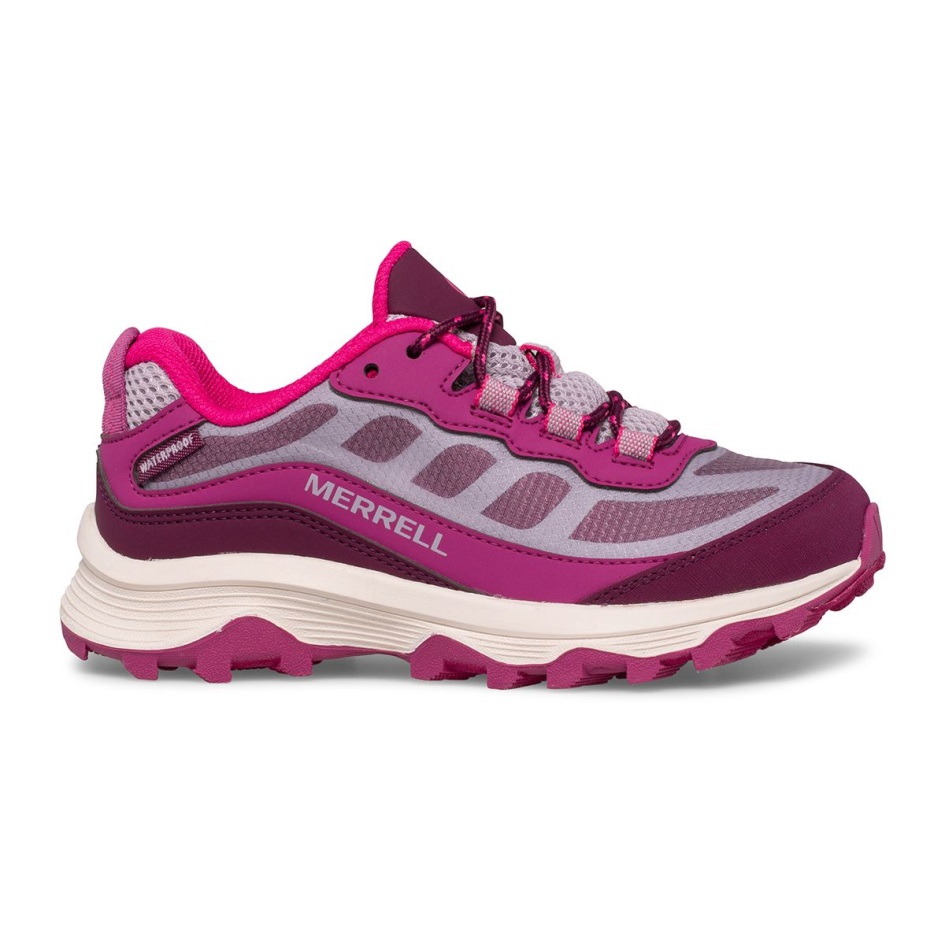 Merrell Big Kid's Moab Speed Alhainen Vedenpitävä Harmaamarjainen