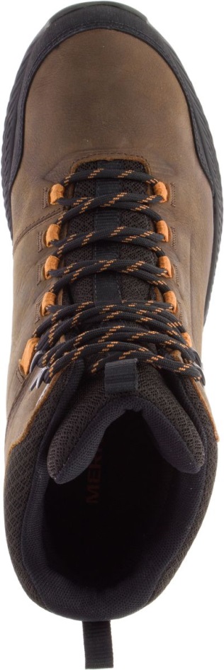 Merrell Miesten Metsään Sidottu Keskivedenpitävä Tumma Maa