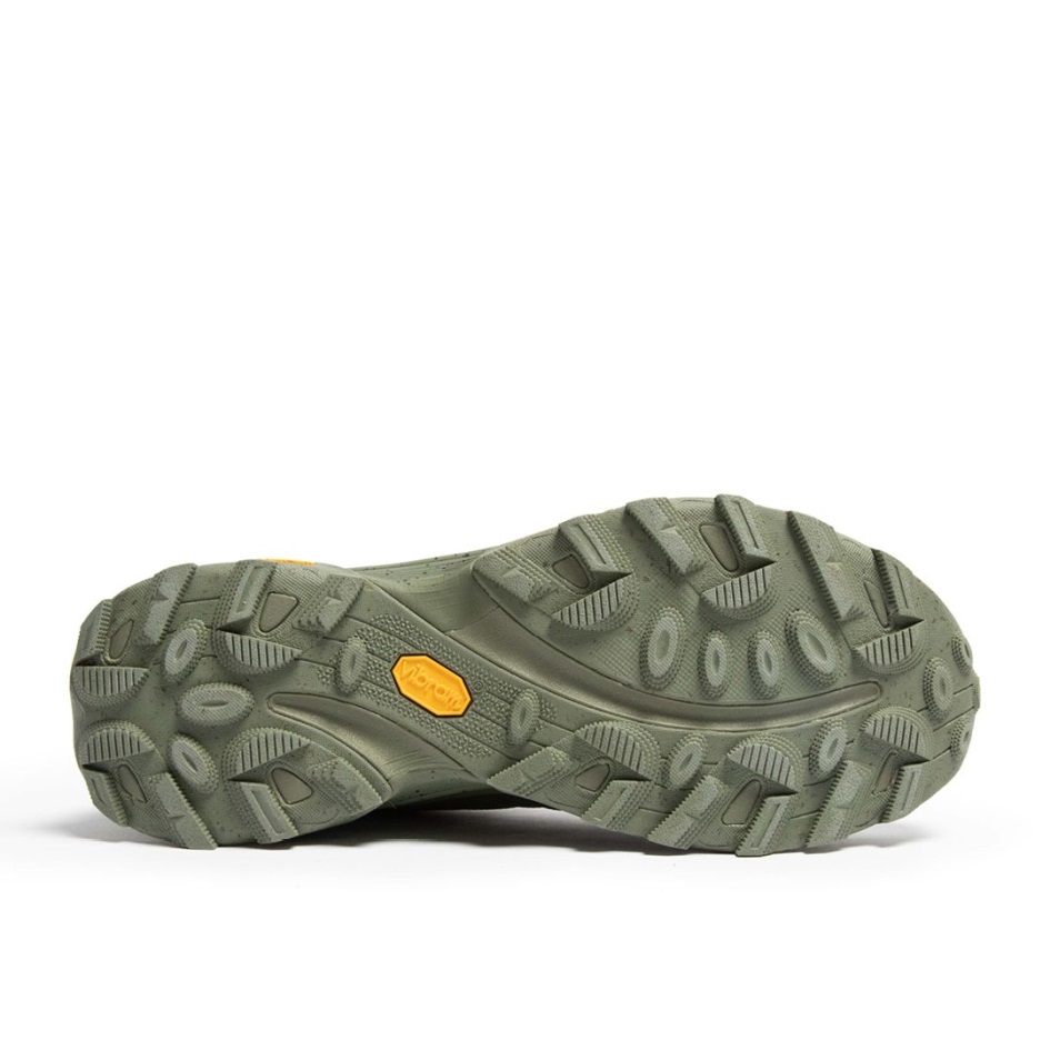 Merrell Miesten Moab Speed Gore-tex Se Jäkälä