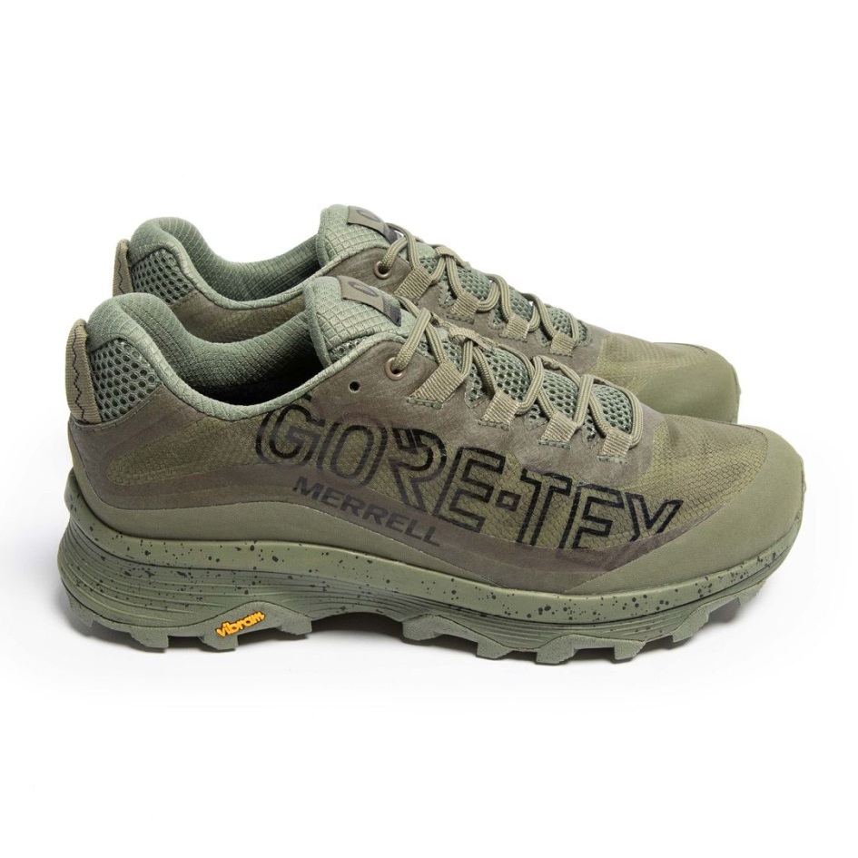 Merrell Miesten Moab Speed Gore-tex Se Jäkälä